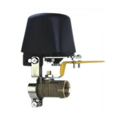 Automatic controller for CAVG gas valve