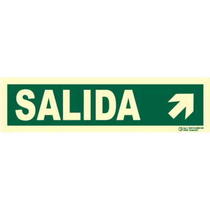 Señal / Cartel de Salida con flecha. Clase B